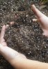 Как подготовить почву для рассады